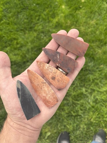 Clovis dalton jasper heat - jasper,